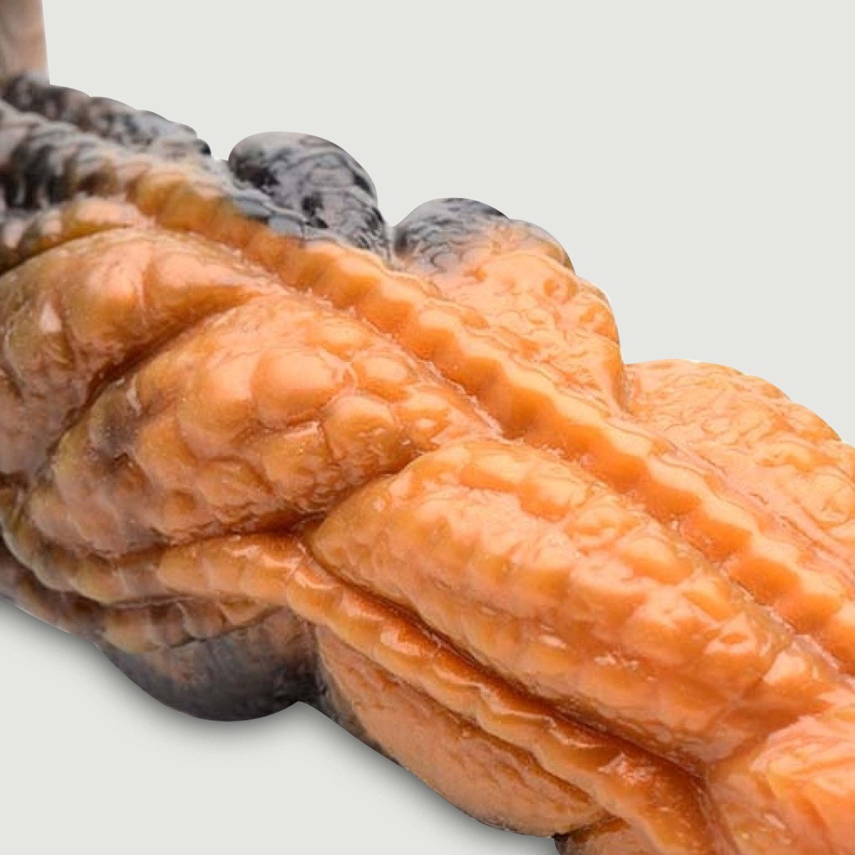 Dildo Σιλικόνης Πλοκάμι Ravager Rippled Tentacle Silicone Dildo by Sexopolis