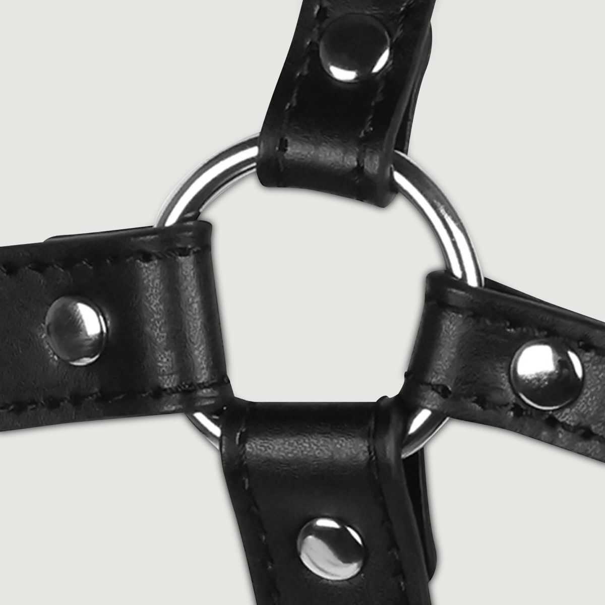 Ανοιχτό Φίμωτρο με Αγκίστρι Μύτης Head Harness with Spider Gag & Nose Hook - Μαύρο by Sexopolis
