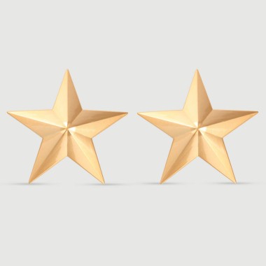 Sensual Star Shaped Nipple Covers – Golden