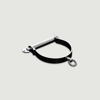 Darby Style Neck Collar Size Large - Silver