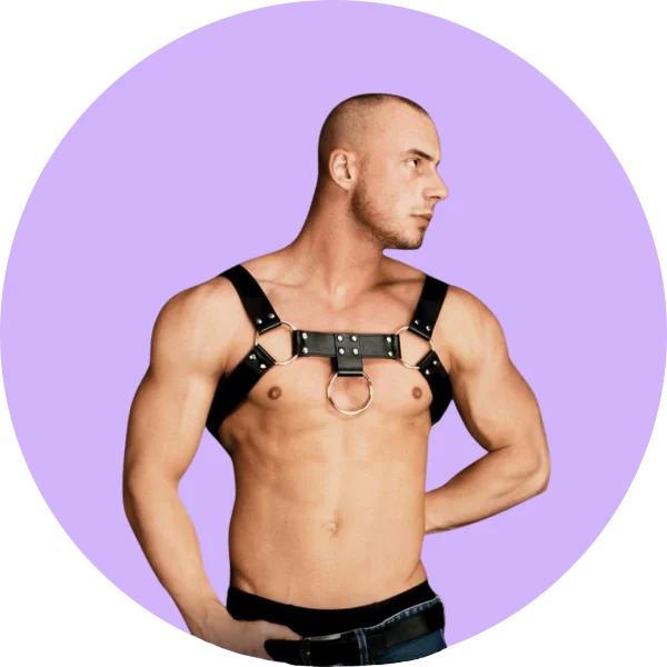 Harness - Teddies